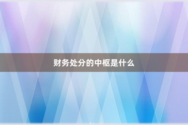 财务处分的中枢是什么