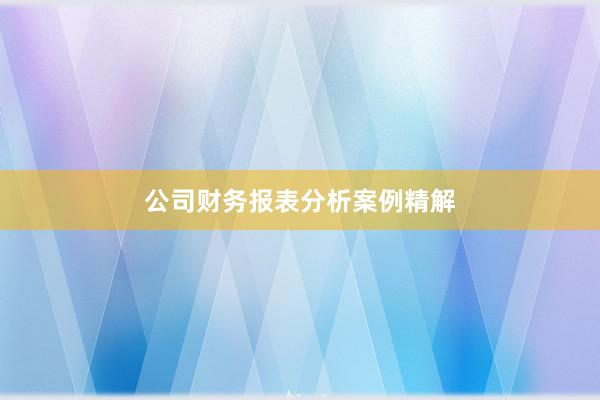 公司财务报表分析案例精解